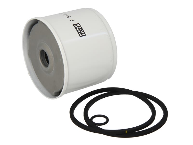 Filtr paliwa, P 917/2 x, MANN-FILTER MANN+HUMMEL GMBH w ofercie sklepu e-autoparts.pl 