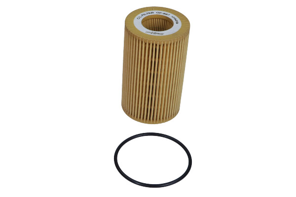 Filtr oleju do Audi, 26-2031, MAXGEAR w ofercie sklepu e-autoparts.pl 