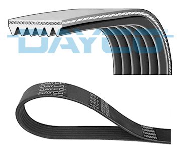 Pasek wieloklinowy do Land Rovera, 6PK1061H, DAYCO w ofercie sklepu e-autoparts.pl 