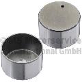 Popychacze zaworowe do Renault, 50007824, KOLBENSCHMIDT w ofercie sklepu e-autoparts.pl 