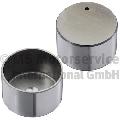 Popychacze zaworowe do Renault, 50007827, KOLBENSCHMIDT w ofercie sklepu e-autoparts.pl 
