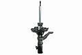 Amortyzator do Hondy, AG4030MT, MAGNUM TECHNOLOGY w ofercie sklepu e-autoparts.pl 