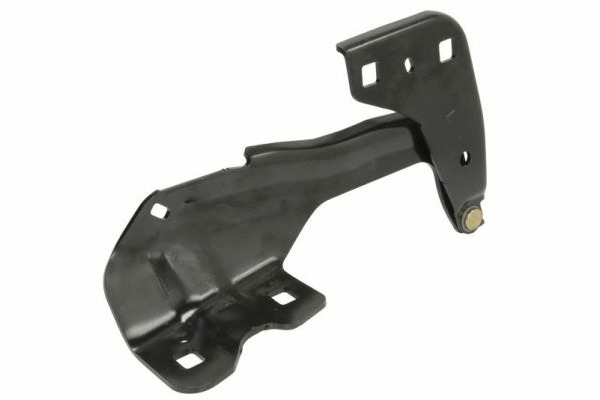 Zawias pokrywy silnika L (chromowany)  do Forda, 6802-00-2598451P, BLIC w ofercie sklepu e-autoparts.pl 