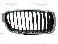 Kratka chłodnicy do BMW, 6502-07-0063992P, BLIC w ofercie sklepu e-autoparts.pl 