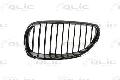 Kratka chłodnicy do BMW, 6502-07-0066991P, BLIC w ofercie sklepu e-autoparts.pl 