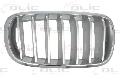 Kratka chłodnicy do BMW, 6502-07-00969966P, BLIC w ofercie sklepu e-autoparts.pl 
