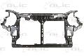 Przednie poszycie do Kia, 6502-08-3265201P, BLIC w ofercie sklepu e-autoparts.pl 