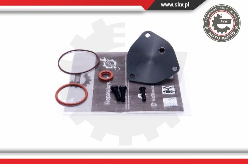 ZESTAW NAPRAWCZY POMPY VACUM AUDI FORD SEAT SKODA do Audi, 18SKV806, SKV w ofercie sklepu e-autoparts.pl 