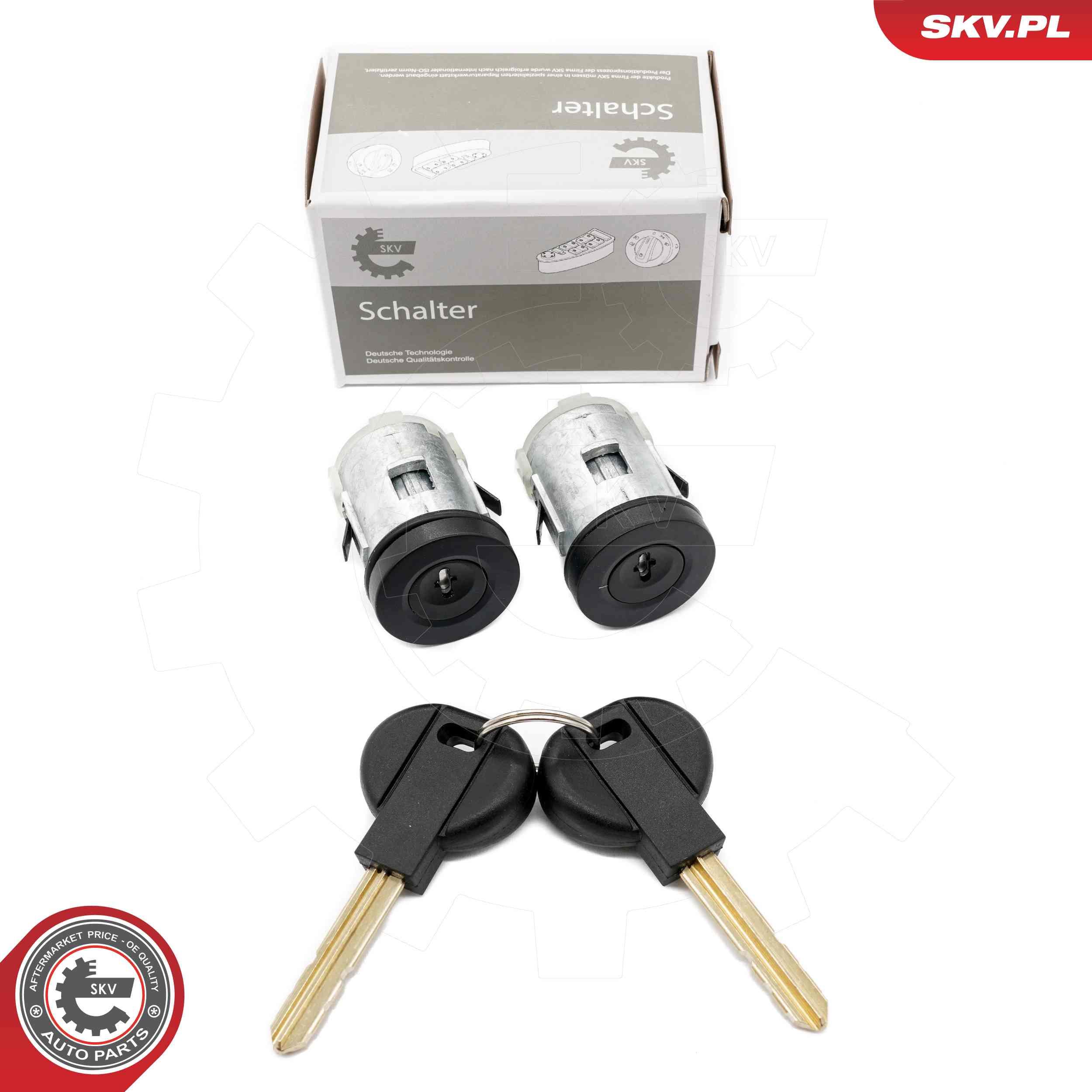 ZESTAW WKŁADEK ZAMKA DRZWI CITROEN PEUGEOT FIAT do Citroena, 65SKV811, SKV w ofercie sklepu e-autoparts.pl 