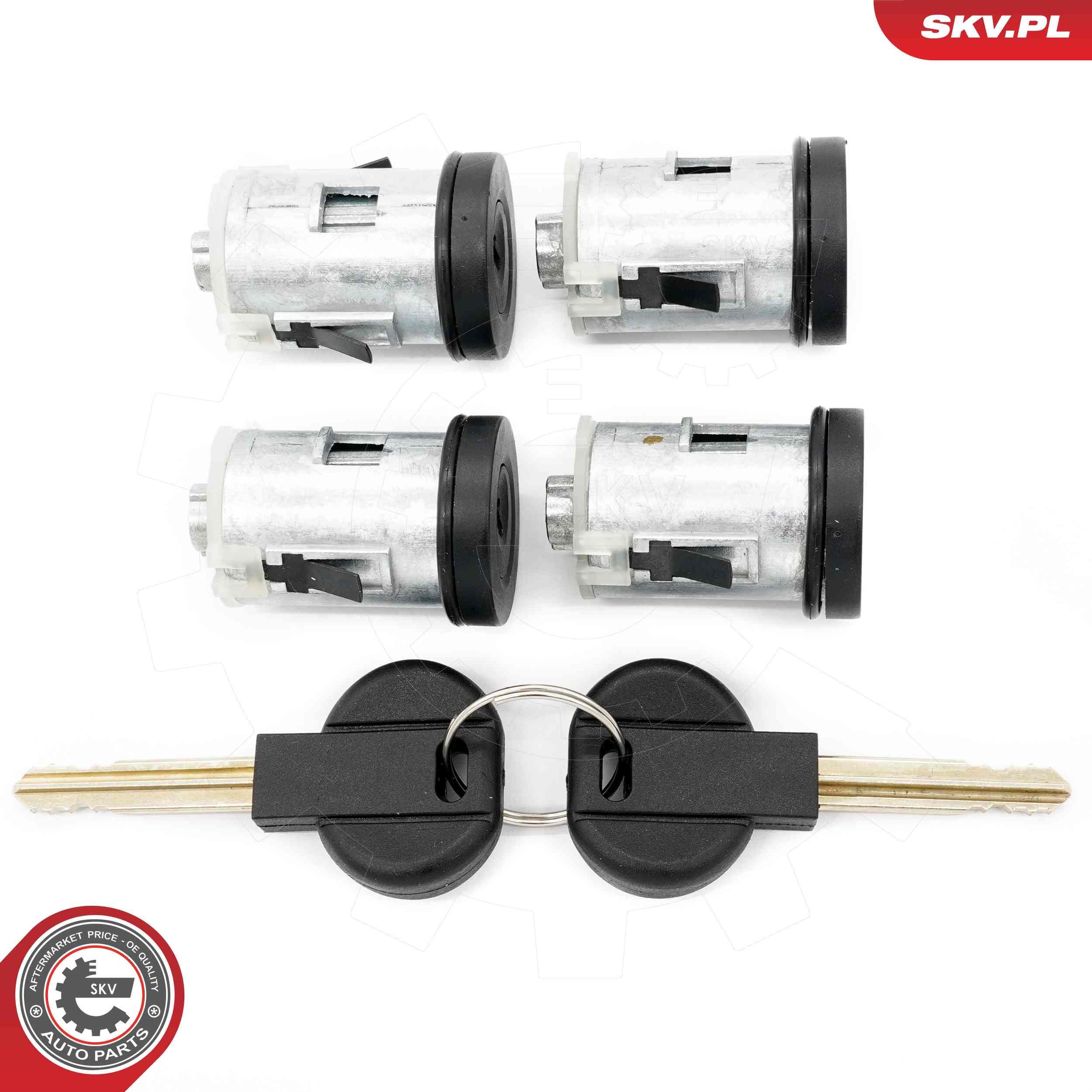 ZESTAW WKŁADEK ZAMKA DRZWI CITROEN PEUGEOT FIAT do Citroena, 65SKV812, SKV w ofercie sklepu e-autoparts.pl 
