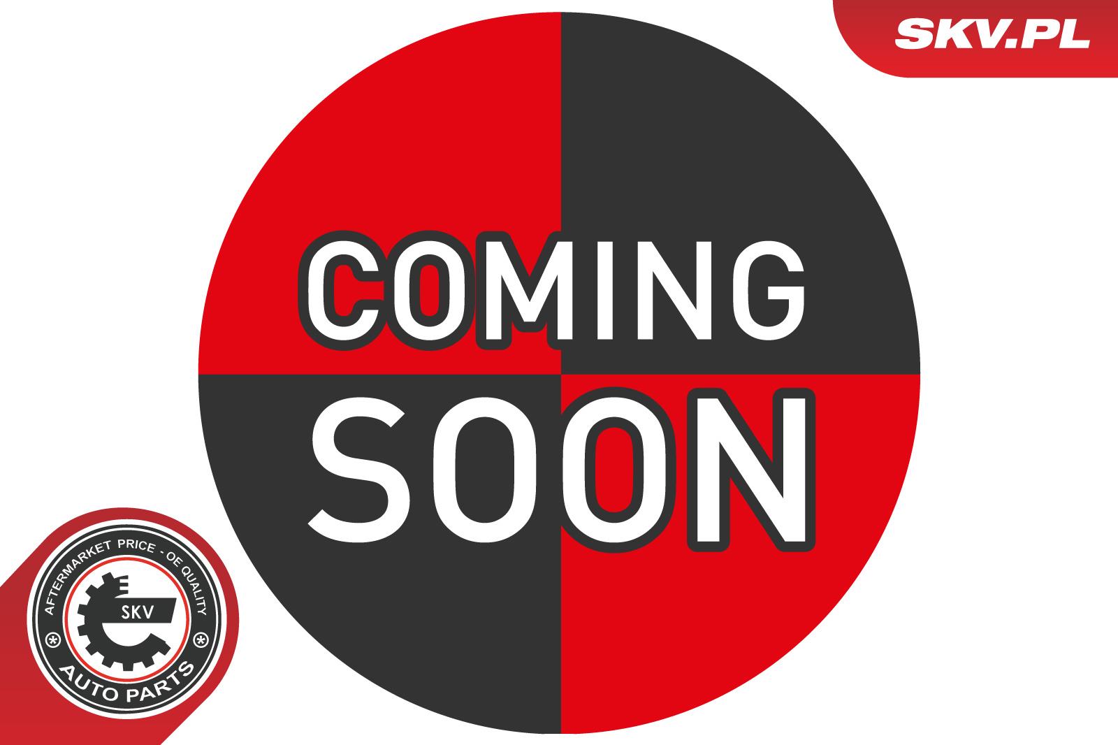 SILNICZEK NAGRZEWNICY KLIMATYZACJI VW do VW, 96SKV261, SKV w ofercie sklepu e-autoparts.pl 