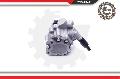 Pompa hydrauliczna, układ kierowniczy do Audi, 10SKV243, SKV w ofercie sklepu e-autoparts.pl 