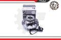 Zestaw łożysk koła do Doogea, 29SKV318, SKV w ofercie sklepu e-autoparts.pl 