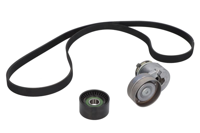 Zestaw paska klinowego wielorowkowego do Opla, VKMA 36038, SKF w ofercie sklepu e-autoparts.pl 