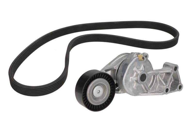 Zestaw paska klinowego wielorowkowego do VW, VKMA 31001, SKF w ofercie sklepu e-autoparts.pl 