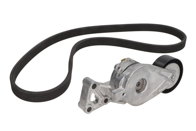 Zestaw paska klinowego wielorowkowego do VW, VKMA 31001, SKF w ofercie sklepu e-autoparts.pl 