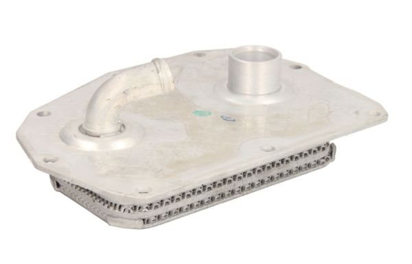Chłodnica oleju do Mercedesa, D4M005TT, THERMOTEC w ofercie sklepu e-autoparts.pl 