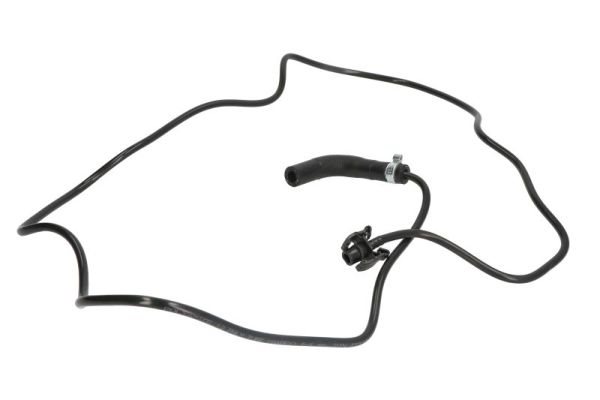 Wąż chłodnicy do Forda, DWG124TT, THERMOTEC w ofercie sklepu e-autoparts.pl 