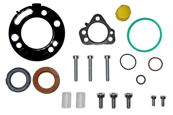 Zestaw naprawczy pompy Delphi DFP6.1E (rozszerzony) do Citroena, ENT210061, ENGITECH w ofercie sklepu e-autoparts.pl 