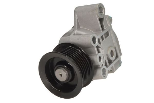 Mechaniczna pompa próżniowa do Forda, ENT400004, ENGITECH w ofercie sklepu e-autoparts.pl 