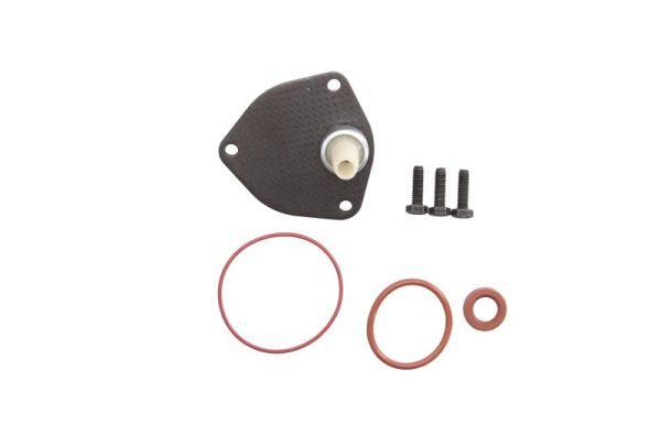 Zestaw naprawczy pompy próżniowej do Audi, ENT410010, ENGITECH w ofercie sklepu e-autoparts.pl 