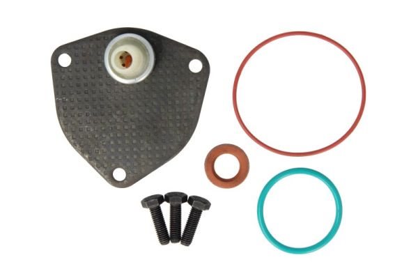 Zestaw naprawczy pompy próżniowej do Audi, ENT410011, ENGITECH w ofercie sklepu e-autoparts.pl 