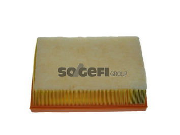 Filtr powietrza CA10023 FRAM