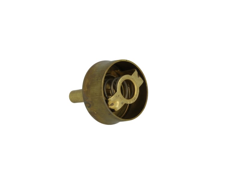 Termostat układu chłodzenia do Renault, 3029.89, WAHLER w ofercie sklepu e-autoparts.pl 