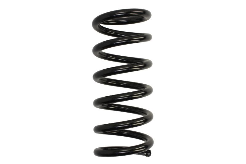 Sprężyna zawieszenia przód L/P  , RG5006, KAYABA w ofercie sklepu e-autoparts.pl 