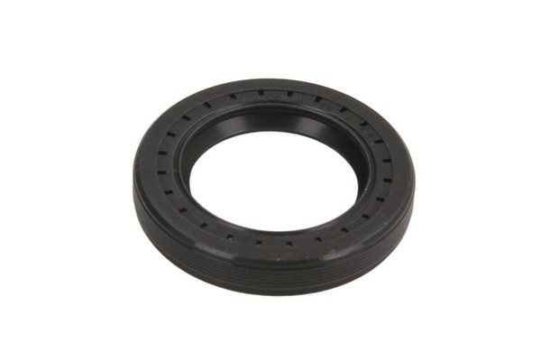 ORING POMPY WTR. DB E KLASA 06- 7190-234 DELPHI