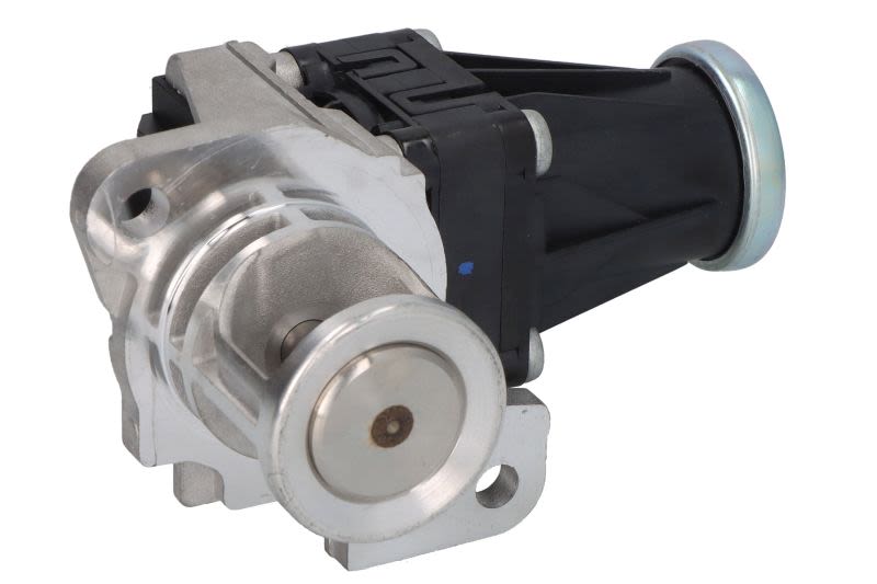 Zawór AGR do Renault, EG10553-12B1, DELPHI w ofercie sklepu e-autoparts.pl 