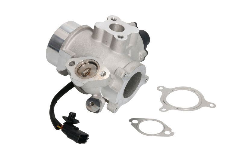 Zawór AGR do Renault, EG10461-12B1, DELPHI w ofercie sklepu e-autoparts.pl 