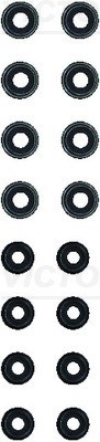 Zestaw uszczelniaczy trzonka zaworów do Mercedesa, 12-21972-01, REINZ w ofercie sklepu e-autoparts.pl 