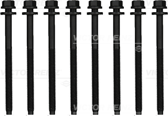 Zestaw śrub głowicy cylindrów 14-13247-01 REINZ
