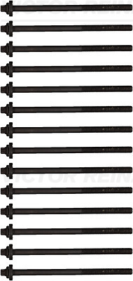 Zestaw śrub głowicy cylindrów 14-32311-01 REINZ