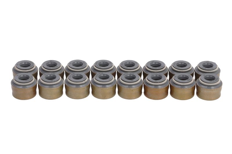 Zestaw uszczelniaczy trzonka zaworów do Ssangyonga, 12-13109-01, REINZ w ofercie sklepu e-autoparts.pl 