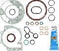 Zestaw uszczelek, skrzynia korbowa do Forda, 08-38427-01, REINZ w ofercie sklepu e-autoparts.pl 