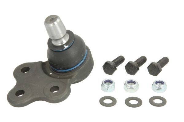 Sworzeń wahacza do Fiata, RH03-1007, REINHOCH w ofercie sklepu e-autoparts.pl 