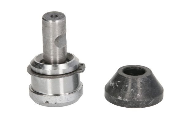 Sworzeń wahacza do Chryslera, RH03-6007, REINHOCH w ofercie sklepu e-autoparts.pl 